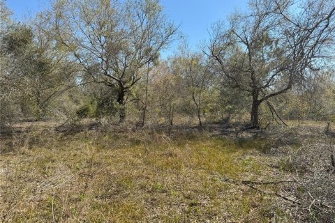 Terreno en venta en Lake Wales, Florida № 2205726 - foto 12