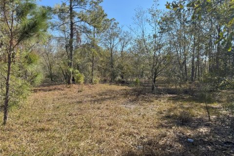 Terreno en venta en Lake Wales, Florida № 2205726 - foto 8