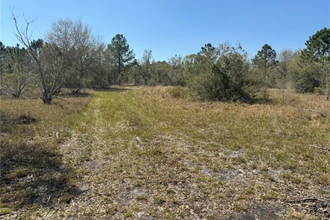 Terreno en venta en Lake Wales, Florida № 2205726 - foto 6