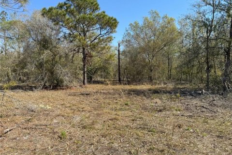 Terreno en venta en Lake Wales, Florida № 2205726 - foto 11