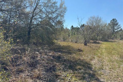 Terreno en venta en Lake Wales, Florida № 2205726 - foto 4