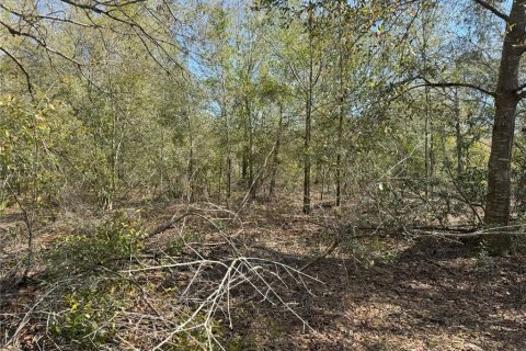Terreno en venta en Lake Wales, Florida № 2205726 - foto 17