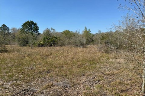 Terreno en venta en Lake Wales, Florida № 2205726 - foto 5
