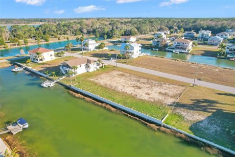 Land in Hernando Beach, Florida № 1787632 - photo 4
