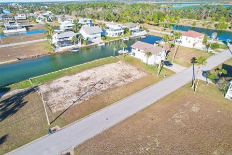 Land in Hernando Beach, Florida № 1787632 - photo 2