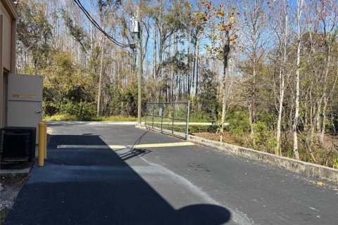 Immobilier commercial à louer à Land O' Lakes, Floride: 111.48 m2 № 2105131 - photo 8