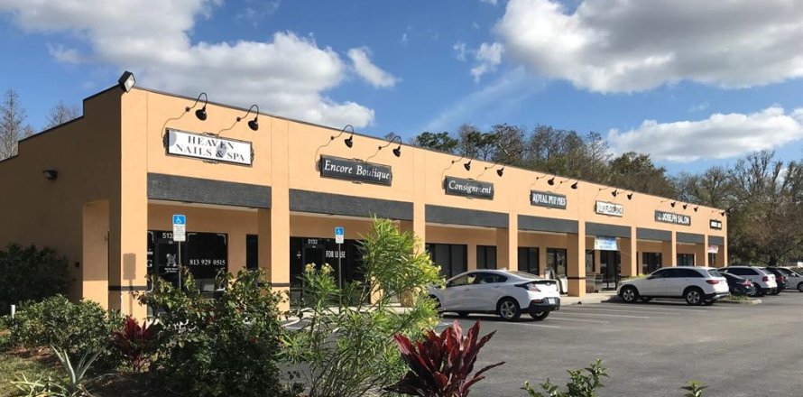 Immobilier commercial à Land O' Lakes, Floride 111.48 m2 № 2105131
