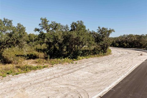 Land in Oxford, Florida № 1508460 - photo 14