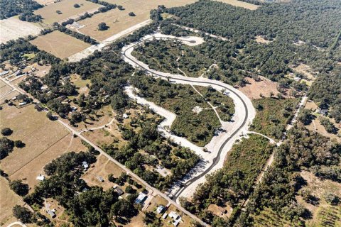 Land in Oxford, Florida № 1508460 - photo 3