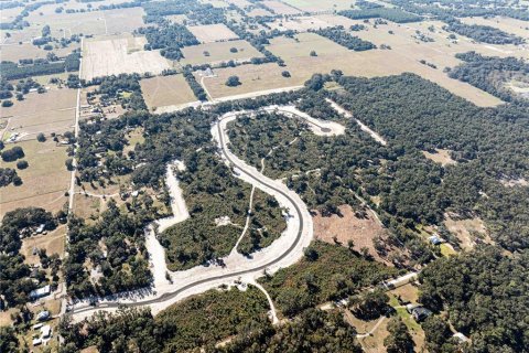 Land in Oxford, Florida № 1508460 - photo 4