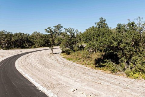 Land in Oxford, Florida № 1508460 - photo 13