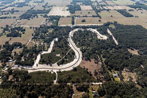 Land in Oxford, Florida № 1508460 - photo 6