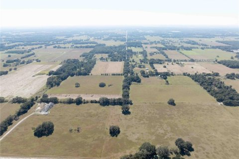 Land in Oxford, Florida № 1508460 - photo 9