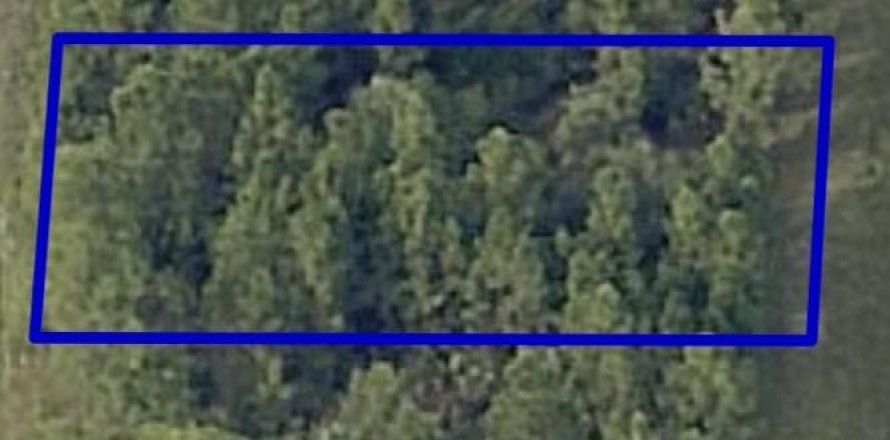 Land in Palm Bay, Florida № 1079233