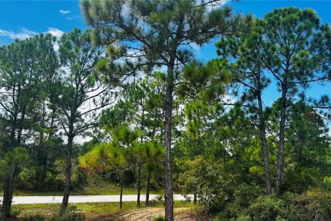 Land in Lake Placid, Florida № 2224682