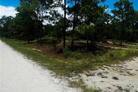 Terrain à vendre à Lake Placid, Floride № 2224682 - photo 4