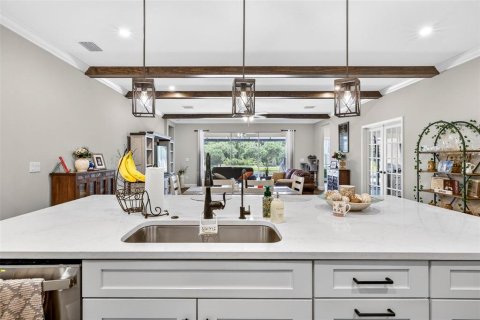 Villa ou maison à vendre à Wesley Chapel, Floride: 4 chambres, 271.27 m2 № 2212069 - photo 13