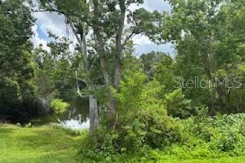 Townhouse in Tampa, Florida 3 bedrooms, 124.12 sq.m. № 1869781 - photo 21