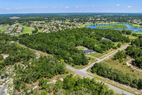 Land in Sorrento, Florida № 216871 - photo 20