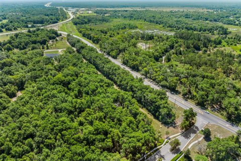 Land in Sorrento, Florida № 216871 - photo 11