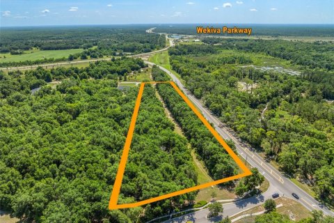 Land in Sorrento, Florida № 216871 - photo 29