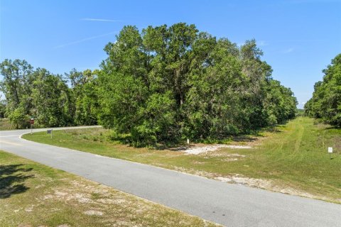 Land in Sorrento, Florida № 216871 - photo 23