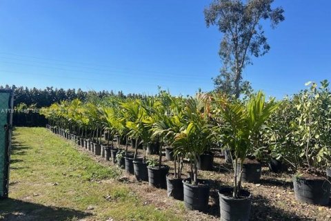 Immobilier commercial à vendre à Miami, Floride № 2032278 - photo 6