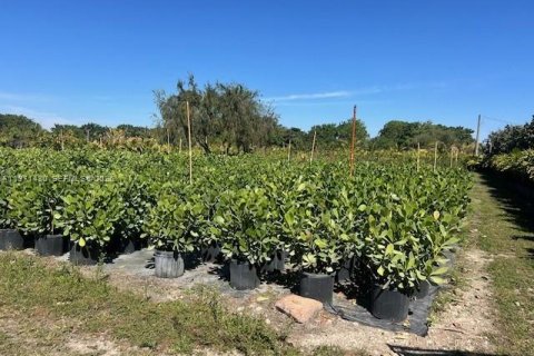 Immobilier commercial à vendre à Miami, Floride № 2032278 - photo 7