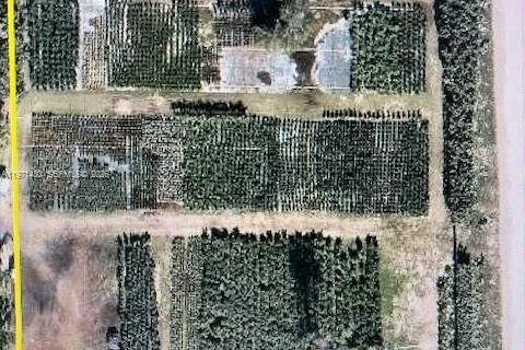 Immobilier commercial à vendre à Miami, Floride № 2032278 - photo 11