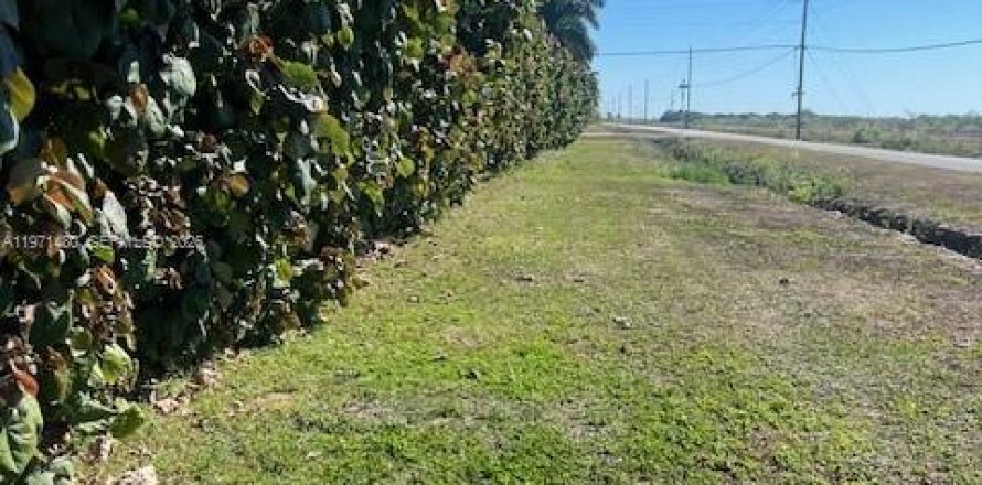 Immobilier commercial à Miami, Floride № 2032278