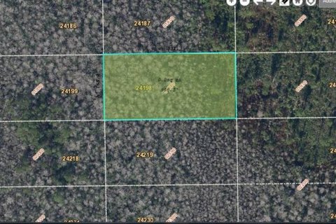 Land in Orlando, Florida № 2163618