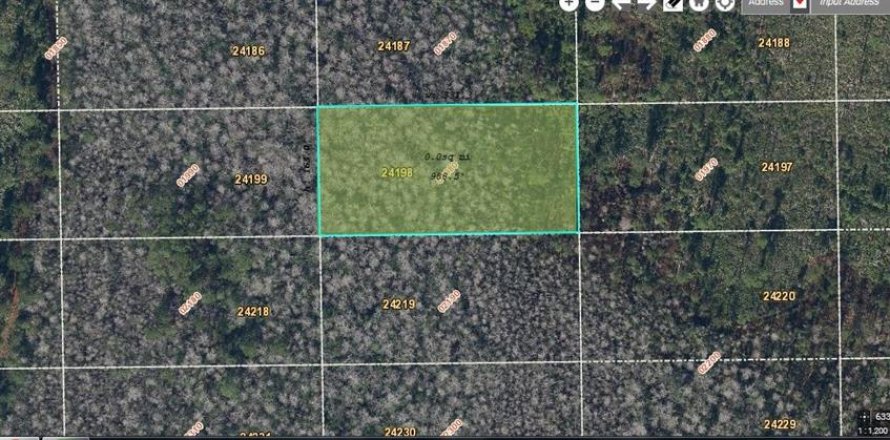 Land in Orlando, Florida № 2163618