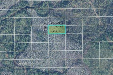 Land in Orlando, Florida № 2163618 - photo 3
