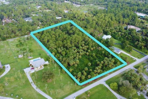 Land in Naples, Florida № 1892113 - photo 5