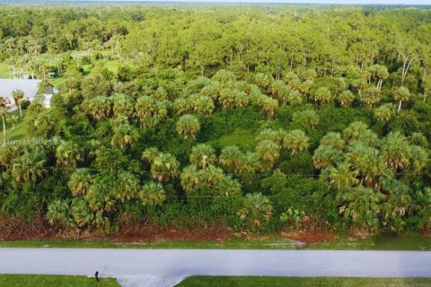 Land in Naples, Florida № 1892113 - photo 3