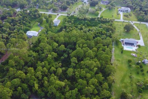 Land in Naples, Florida № 1892113 - photo 6