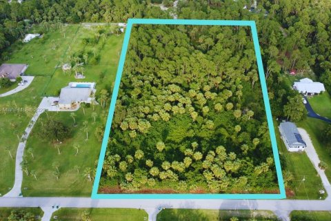 Land in Naples, Florida № 1892113 - photo 4