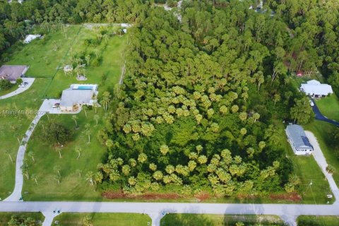 Land in Naples, Florida № 1892113 - photo 2