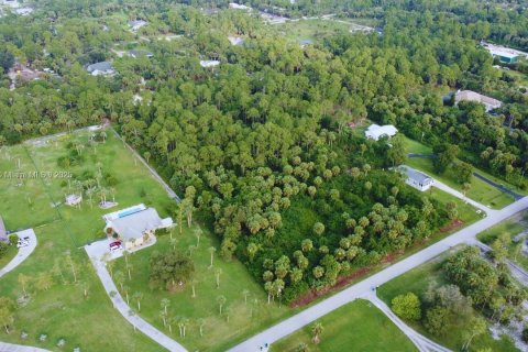 Land in Naples, Florida № 1892113 - photo 7