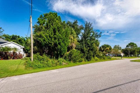 Land in Palm Coast, Florida № 2384113 - photo 26