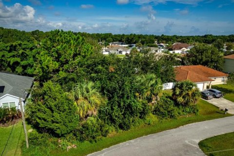 Land in Palm Coast, Florida № 2384113 - photo 2