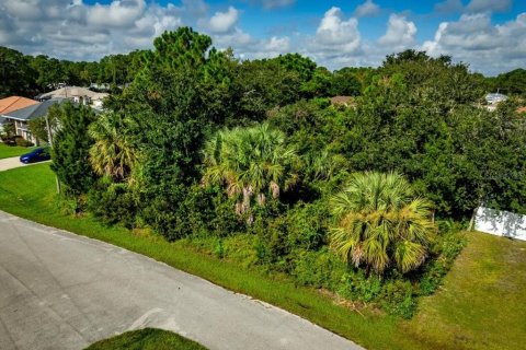 Land in Palm Coast, Florida № 2384113 - photo 18