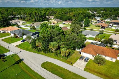 Land in Palm Coast, Florida № 2384113 - photo 3
