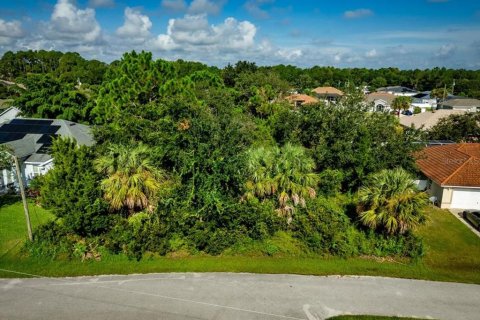Land in Palm Coast, Florida № 2384113 - photo 12