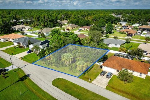 Land in Palm Coast, Florida № 2384113
