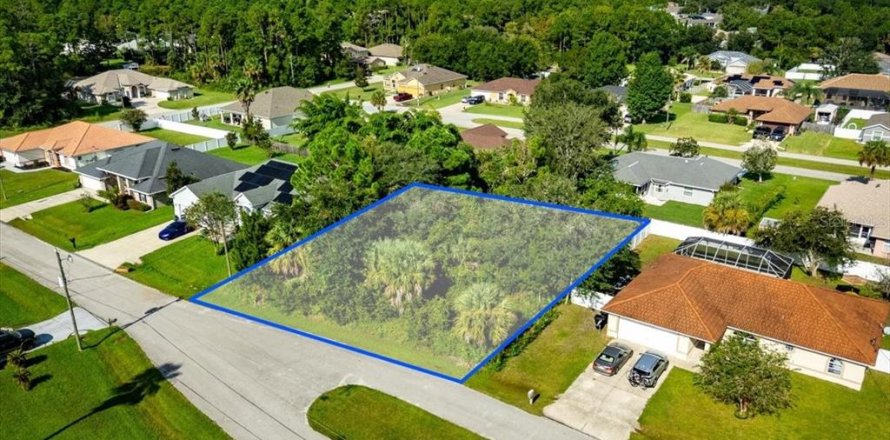 Land in Palm Coast, Florida № 2384113