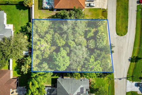 Land in Palm Coast, Florida № 2384113 - photo 5