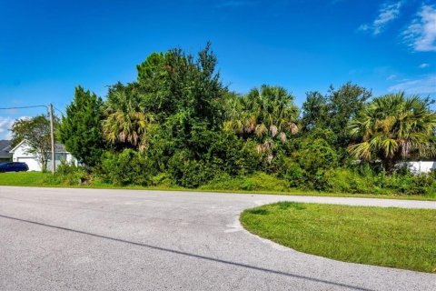 Land in Palm Coast, Florida № 2384113 - photo 13