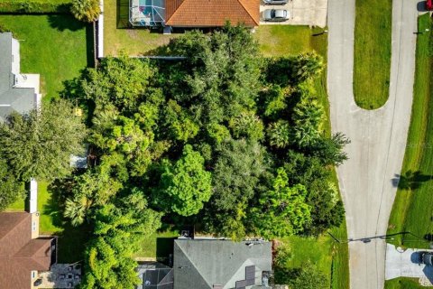 Land in Palm Coast, Florida № 2384113 - photo 20