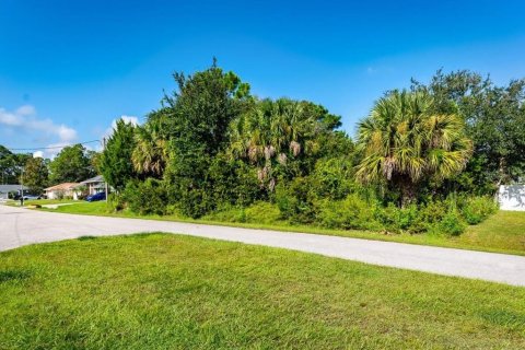 Land in Palm Coast, Florida № 2384113 - photo 25